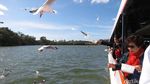 Wisata Unik di Australia: Mancing Kepiting!