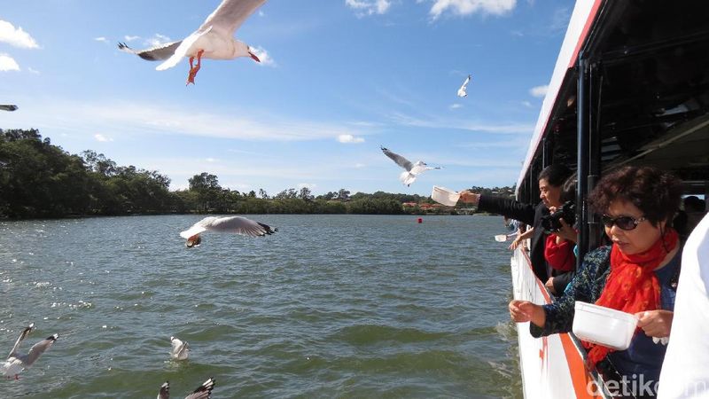 Wisata Unik Di Australia Mancing Kepiting Foto 4