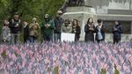 Kenang Korban Perang, Taman Boston Dihiasi 37 Ribu Bendera