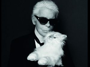 Warisan Karl Lagerfeld Rp 6,4 T Belum Dibagi, Akuntan Menghilang