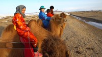 Bertandang ke Mongolia tak afdol jika belum menengok kehidupan suku nomadennya. Dari Ulanbaatar, Tim Jazirah Islam diajak Fatima mengunjungi saudara sepupu di tengah gurun Mongolia. Yoga Endrayanto/TRANS7.