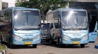 Blue Bird bersama operator lain berupaya mendukukung Pemerintah Melalui (Badan Pengelola Transportasi Jakarta) BPTJ untuk Program Jabodetabek Airport Connexion, yaitu penyediaan bus untuk melayani penumpang dari Bandara Soekarno Hatta menuju beberapa hotel di Jakarta. Pool/Blue Bird.