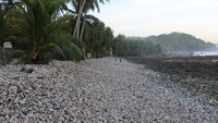 Foto: Batu kerikil yang besar-besar jadi ciri khas Pantai Pidakan. Batu-btu tersebut terhampar di tepian pantai (Brigida Emi Lilia/dTraveler)