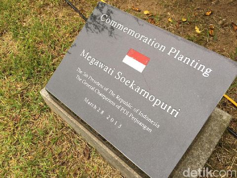Ada Megawati Garden di Jeju Korsel