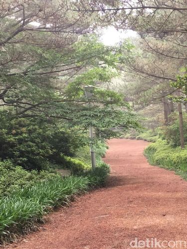 Ada Megawati Garden di Jeju Korsel
