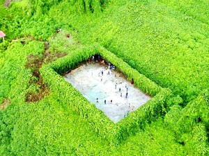 Lapangan Futsal di Tengah Hutan Rimba Malaysia, Bisa Bayangkan?