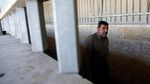 Tunaikan Salat Jumat, Warga Palestina Tembus Perbatasan Israel