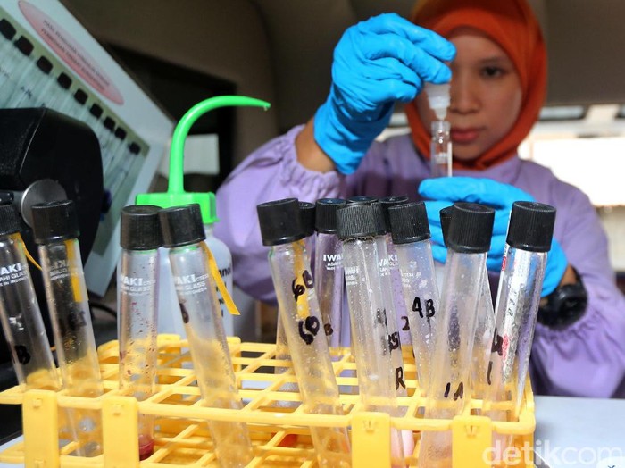 BPOM Janji Tuntaskan Masalah Formalin dalam Makanan