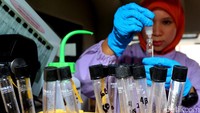 Badan Pemeriksa Obat dan Makanan (BPOM) DKI Jakarta, Jumat (2/6/2017) menggelar pemeriksaan makanan dan jajanan takjil di Pasar Benhil dari bahan berbahaya.