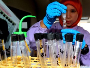 Begini Aturan BPOM Soal Makanan Mengandung Babi, Ada Sanksi Pidana