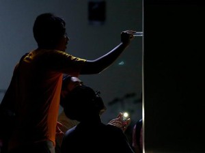 Hobi Baru Orang Singapura: Koleksi Semut