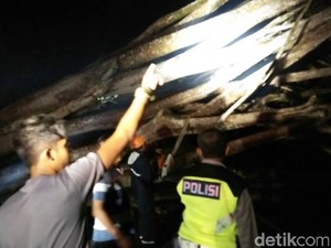 Pohon Tumbang di Gunungkidul Timpa 2 Orang Pemotor
