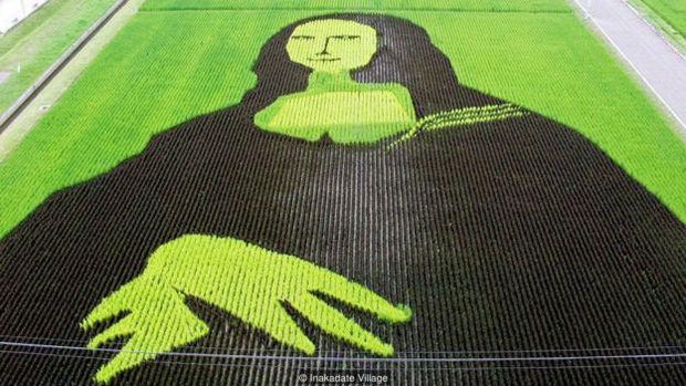 Lukisan raksasa 3D dari sawah di provinsi Aomori, Jepang. 