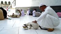 Berkah Umrah Penjual Sandal dan Penyayang Kucing