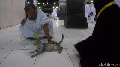 Berkah Umrah Penjual Sandal dan Penyayang Kucing