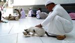 Berkah Umrah Penjual Sandal dan Penyayang Kucing