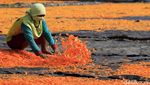 Puasa, Penjualan Kerupuk Bawang Melempem