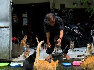 Berkah Umrah Penjual Sandal dan Penyayang Kucing