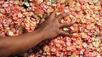 Pengusaha krupuk bawang mengalami penurunan omzet penjualan hingga 50 persen.