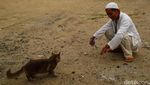 Berkah Umrah Penjual Sandal dan Penyayang Kucing