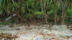 Potret Instagenic Pantai Sumur Tiga yang Punya Air Tawar