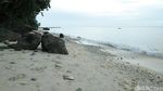 Potret Instagenic Pantai Sumur Tiga yang Punya Air Tawar