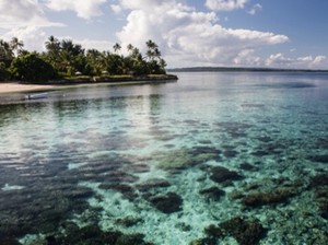 KLHK dan UNDP Susun Buku Keindahan Taman Laut di Indonesia