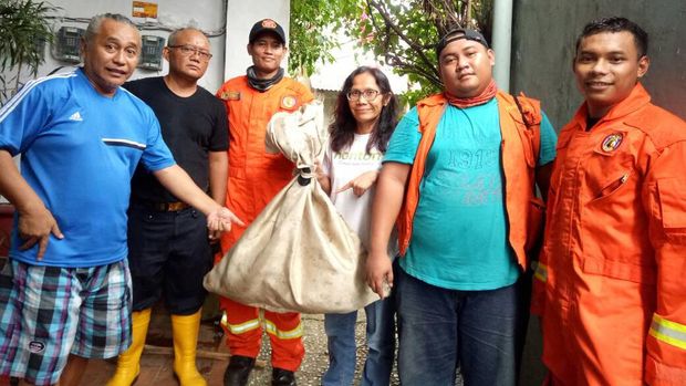 Damkar Evakuasi Sarang Tawon di Rumah Warga Jagakarsa