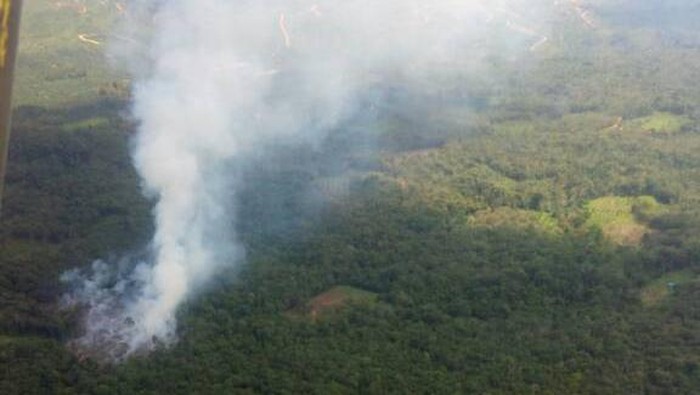Cuaca Panas, Lahan di Riau Muncul Titik Api
