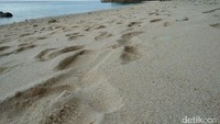 Pantai Sumur Tiga berada di Gampong Ie Muelee, berjarak sekitar 15 menit dari Kota Sabang. Layaknya pantai di Sabang, Sumur Tiga memiliki keindahan yang memikat (Bonauli/detikTravel)