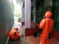 Damkar Evakuasi Sarang Tawon di Rumah Warga Jagakarsa