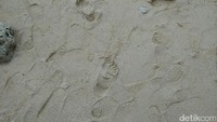 Pasir pantainya yang lembut dan bersih akan memanjakan kaki dan bikin kamu betah. Ini juga yang menyebabkan pantai ini jadi favorit bagi para turis untuk berjemur (Bonauli/detikTravel)