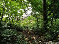 Untuk turun sebaiknya menggunakan tali yang dililitkan ke pohon (Bonauli/detikTravel)