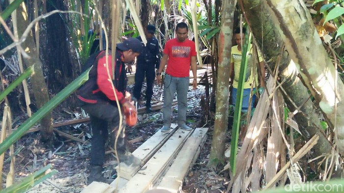 Patroli Karhutla, Tim Polres Pelalawan Temukan Illegal Logging