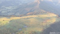 Aneka danau-danau yang bertebaran untuk sapi dan kuda minum. Perbukitan dan pegununan Lamington National Park juga tampak dari atas balon udara (Fitraya/detikTravel)