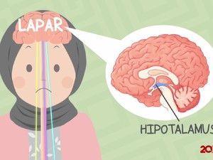Ini yang Sebenarnya Terjadi Ketika Perut Terasa Lapar