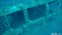 Sophie berada di kedalaman 50 m sampai sekitar 68 m, ini sudah masuk deep dive jadi tak semua penyelam bisa sampai ke sini. Ini adalah ruang kapten (Bonauli/detikTravel)