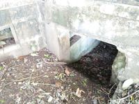  Benteng ini dilengkapi dengan bunker(Bonauli/detikTravel)