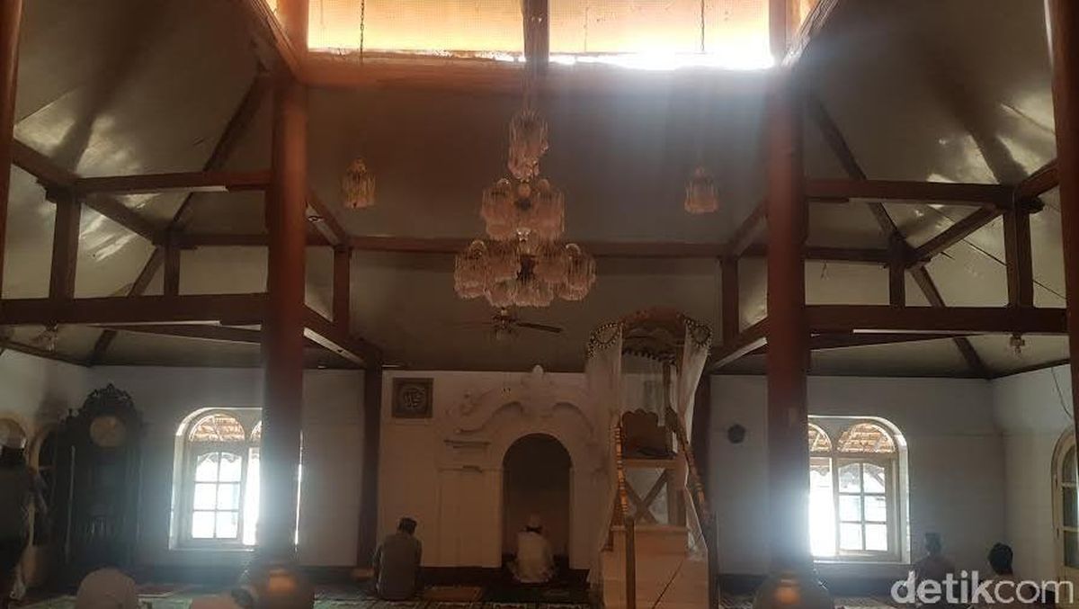 Chokkalab otirgan qoramagizning fotosurati va oq külotlar korsatilgan.