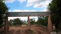 Lotus Garden merupakan objek wisata buatan. Dibangun tahun 2015, di sini kamu bisa trekking menjelajahi hutan Merauke yang masih asli! (Afif/detikTravel)