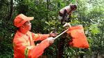 Seekor Monyet di China Bantu Bersihkan Sampah Manusia