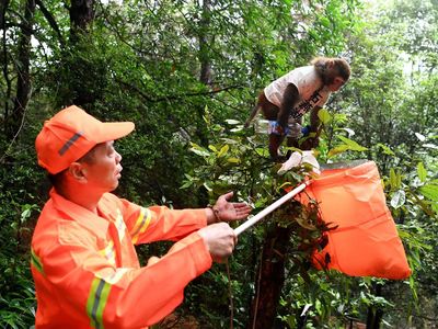 Seekor Monyet di China Bantu Bersihkan Sampah Manusia