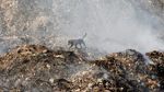Potret Gunungan Sampah di Hari Lingkungan Hidup Sedunia