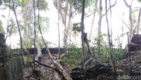 Dulu tempat ini menjadi tempat pertahanan dan benteng ini memiliki meriam. Sayang ,meriamnya sudah tidak ada, yang ada hanya bekasnya saja (Bonauli/detikTravel)