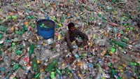 5 Juni ditetapkan sebagai Hari Lingkungan Hidup Sedunia, namun dibeberapa negara masalah lingkungan masih dipandang sebelah mata. Di India tepatnya di kawasan Chandigarh, seorang pria tengah mengumpulkan sampah berupa botol plastik. REUTERS/Ajay Verma.