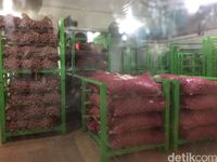 Djarot Resmikan Mesin yang Bisa Buat Cabai Bertahan Hingga 6 Bulan