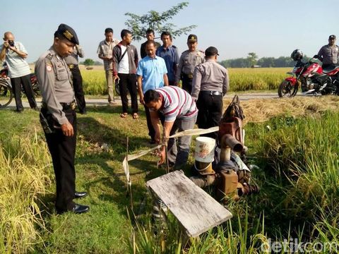 Sesosok Bayi Perempuan Ditemukan Kedinginan di Pinggir Sawah