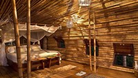 Terdapat beberapa ruangan di rumah pohon ini, mulai dari kamar tidur, ruang bersantai, hingga kamar kecil dan kamar mandi. Pool/detureculsign.com.