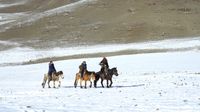 Kisah Muslim Pemburu Elang Legendaris di Mongolia