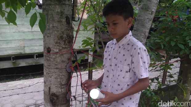Naufal Raziq bocah penemu listri dari pohon kedondong.